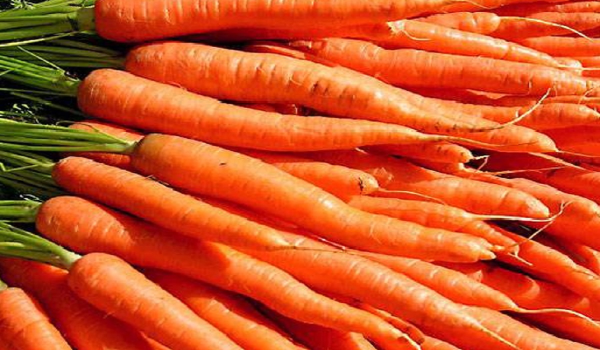 HEALTH BENEFITS OF CARROTS, QUICK FACTS