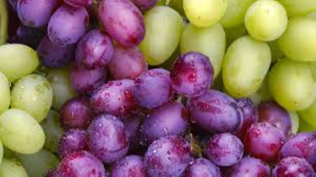 why grape juice is good for you?